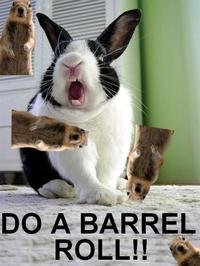 Crasher Squirrel