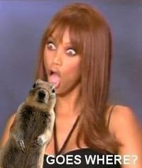 Crasher Squirrel