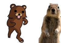 Crasher Squirrel