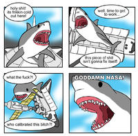 The Singing Shark