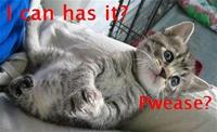 LOLcats