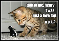 LOLcats