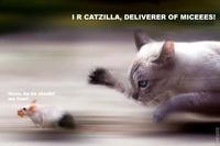 LOLcats