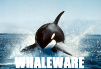 Whaleware