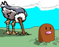 Diglett Underground