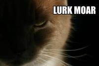 Lurk Moar