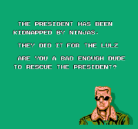 I Did It for the Lulz