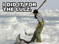 I Did It for the Lulz