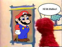 Malleo
