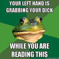 Foul Bachelor Frog