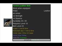 4 Str 4 Stam Leather Belt?!?