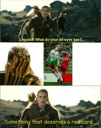 What do your elf eyes see?