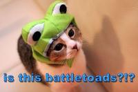 Battletoads Preorder