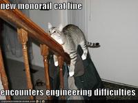 Monorail Cat