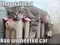 Monorail Cat