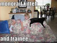 Monorail Cat