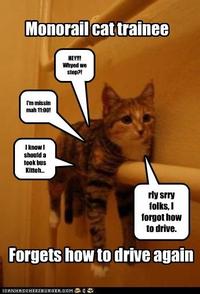 Monorail Cat