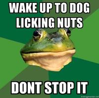 Foul Bachelor Frog