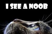 Noob