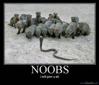 Noob