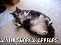 A wild Snorlax appears!