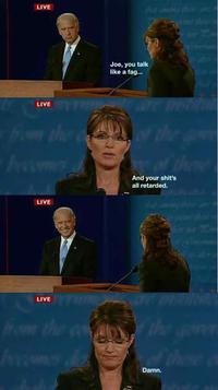 Biden / Palin Debate 4pane