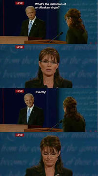 Biden / Palin Debate 4pane