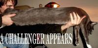 A Challenger Appears