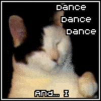 Kitty Cat Dance