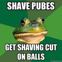 Foul Bachelor Frog