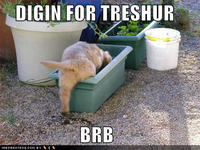 BRB