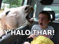Y helo thar