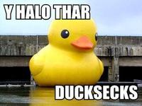 Y helo thar