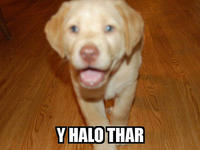 Y helo thar