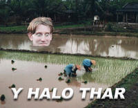 Y helo thar