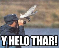 Y helo thar