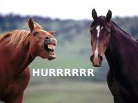 DERP