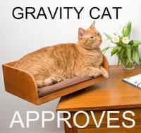 Gravity Cat