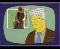I, For One, Welcome Our New Insect Overlords