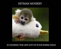Hitman Monkey