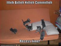 Itteh Bitteh Kitteh Committeh
