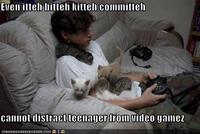Itteh Bitteh Kitteh Committeh