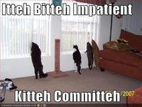 Itteh Bitteh Kitteh Committeh