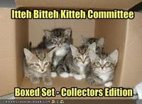Itteh Bitteh Kitteh Committeh