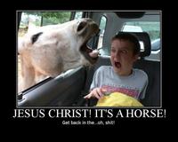 Jesus Christ It's a Lion Get In The Car!