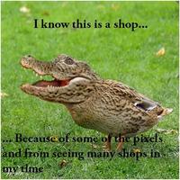 Crocoduck