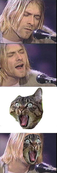 Kurt Cobain Reaction
