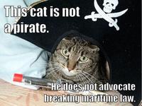Average Cats