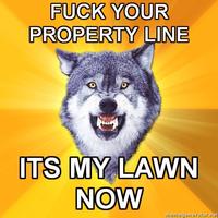Courage-wolf_property_line