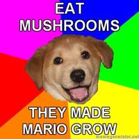 Advice Dog